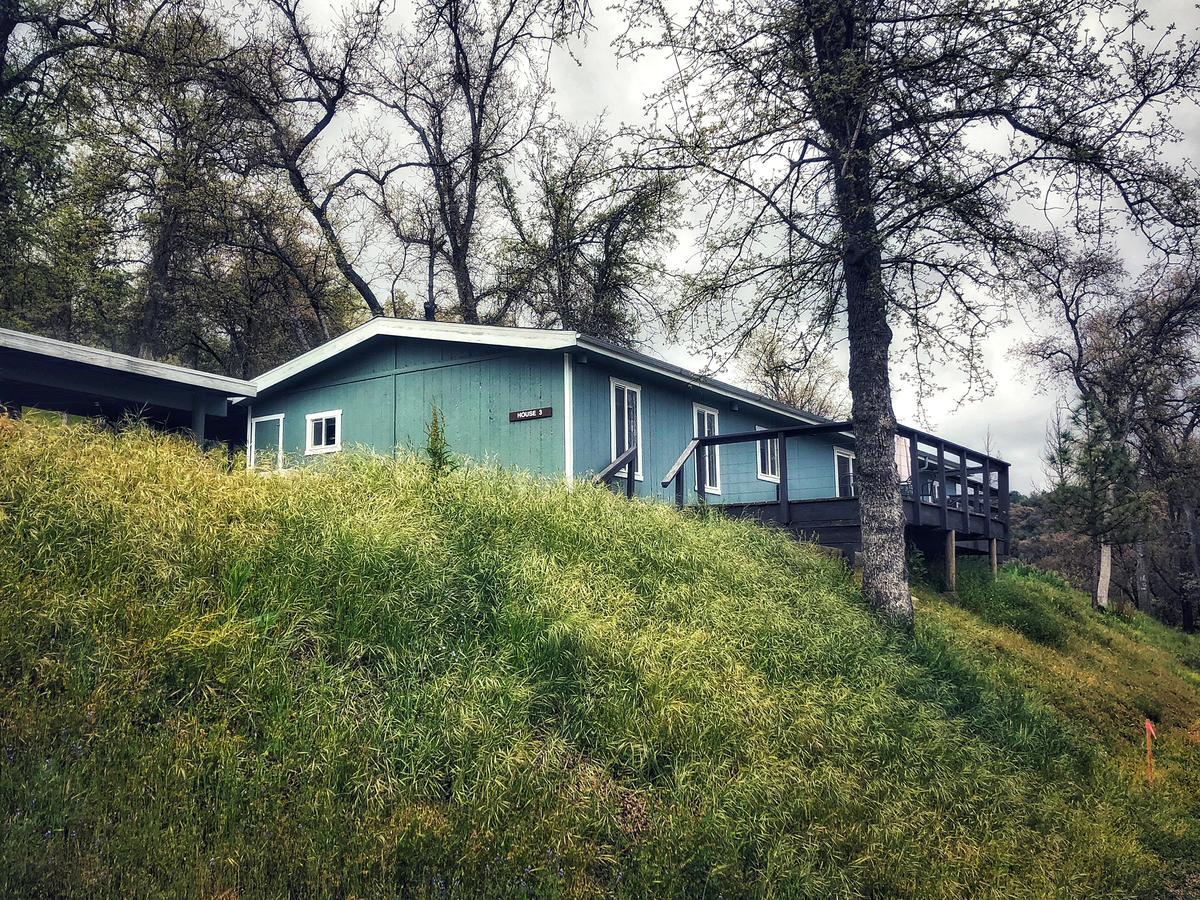 Sequoia 3*